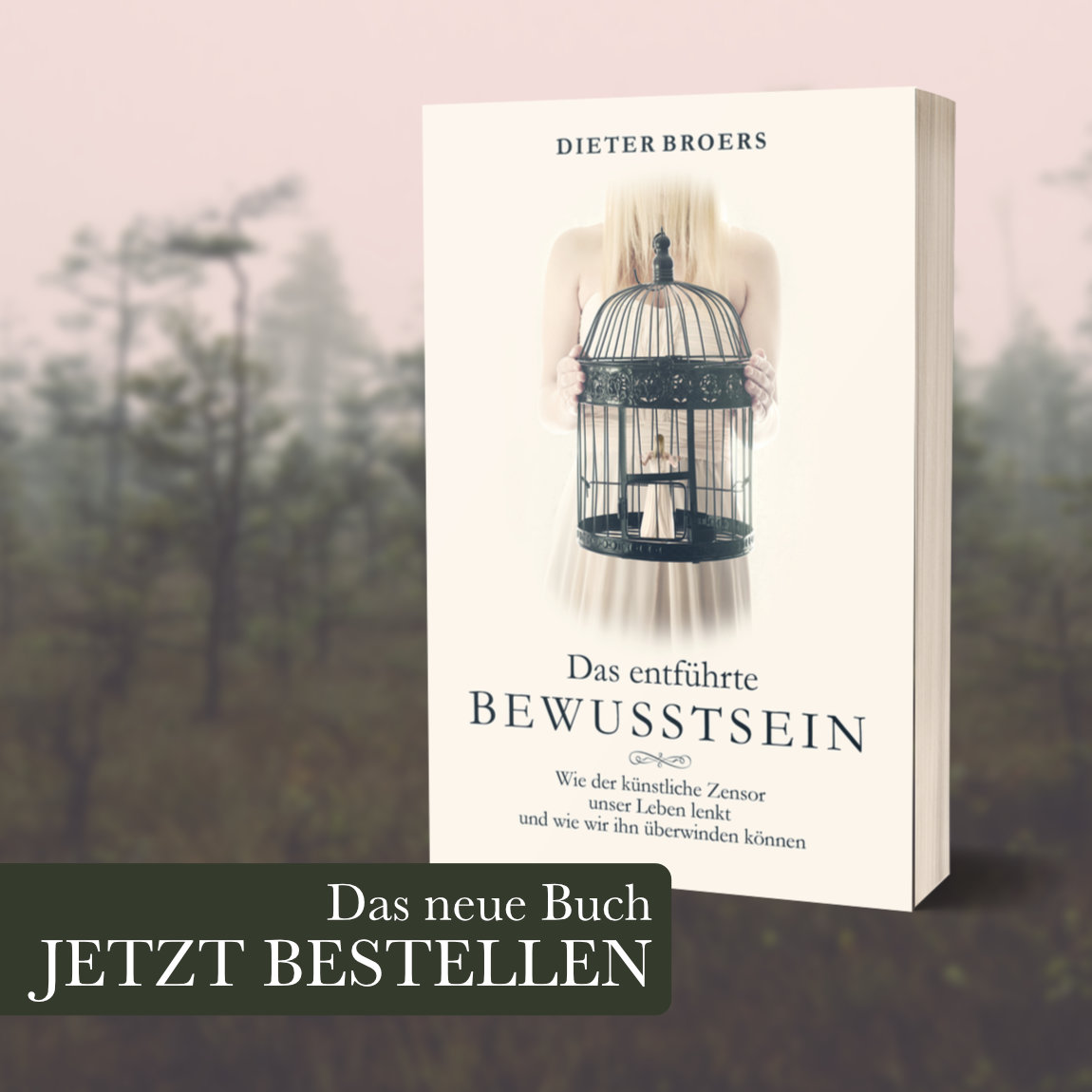 Bewusstsein Hompage Image